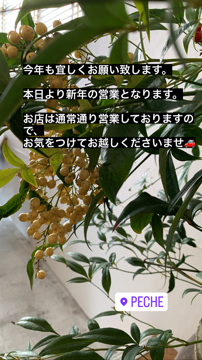 80C5480D-EAFC-4A18-A4F2-436CADA6007E.jpeg